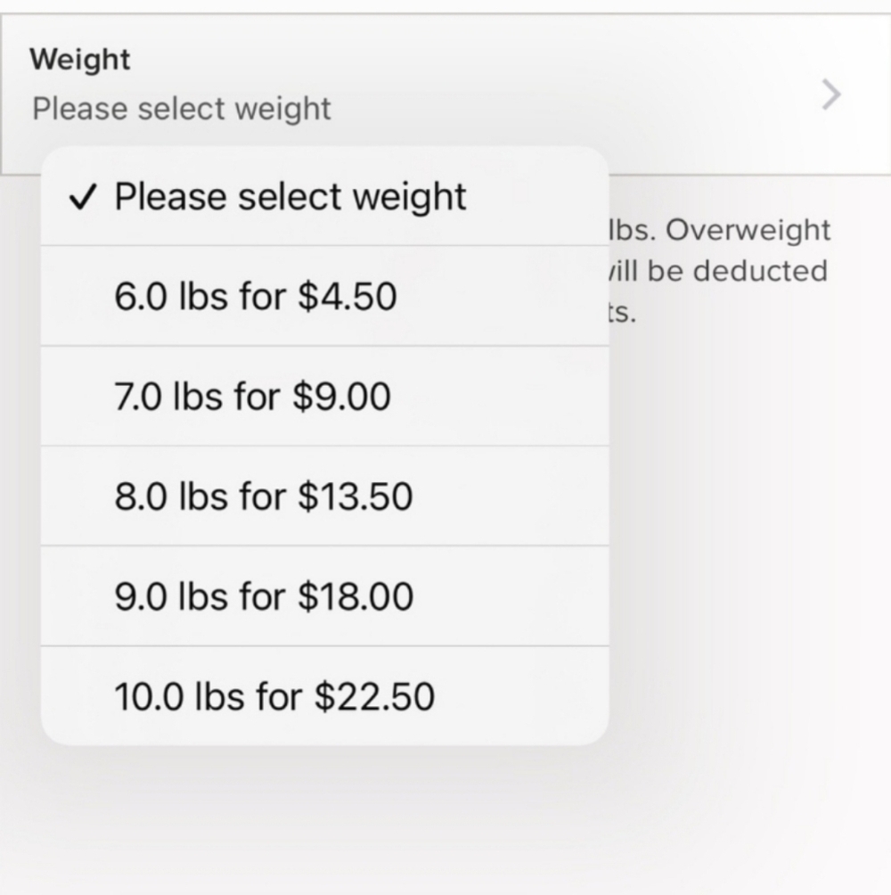 Extra Shipping Fee - Picture 4 of 4